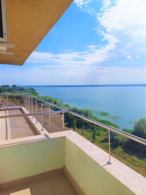 North Club Apartments Mamaia